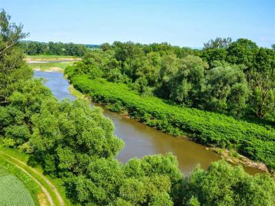 Meandrując pomiędzy dawnymi rezydencjami: Racibórz, Rudy, Krzyżanowice, Krowiarki