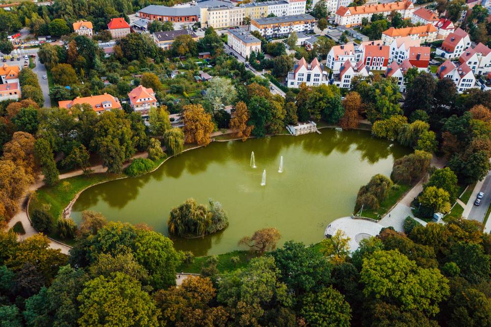 Park im. Miasta Roth