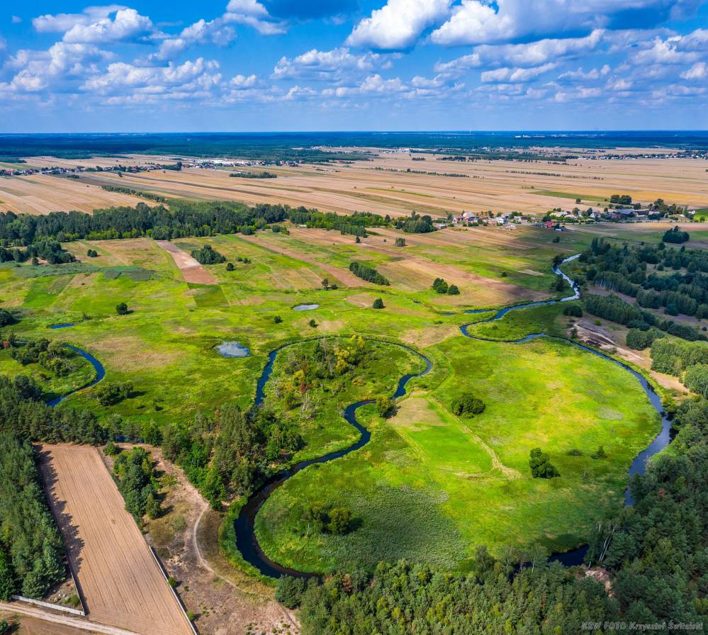 Kajakarstwo w Śląskim