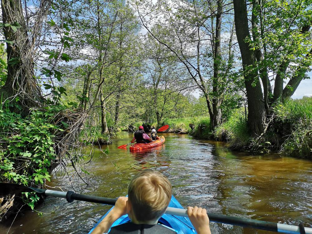 Kajakarstwo w Śląskim